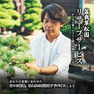 ふるさと納税 加西市 翠松園 リザーブサービス[あなたの盆栽に合わせた日々の管理をアドバイス] [No5698-1598]