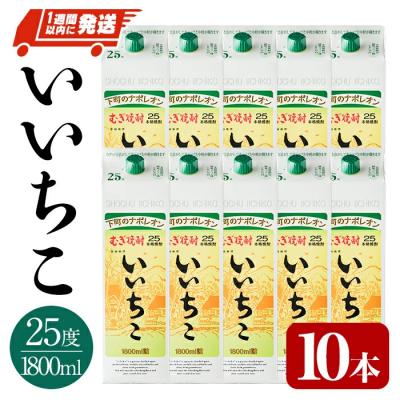 ふるさと納税 宇佐市 いいちこ 25度 パック(1.8L×10本)【107304800
