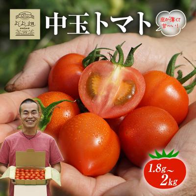 ふるさと納税 加西市 よしよし畑のあま〜い トマト (中玉トマト) 1.8kg 〜 2kg 程度[No5698-1622]