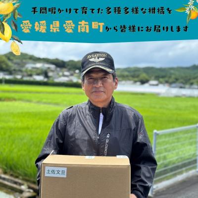 ふるさと納税 愛南町 【先行予約:2027年度2月上旬〜 】訳あり 土佐文旦 7kg 文旦 ぶんたん 愛南町青果市場 |  | 02
