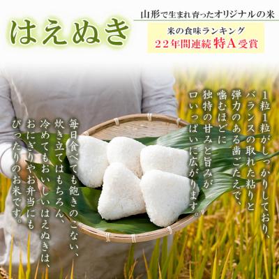 ふるさと納税 山形市 【定期便4回】山形県産 はえぬき 精米 5kg×4回(計20kg) FZ26-849の画像