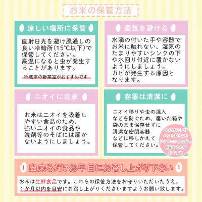 ふるさと納税 山形市 【定期便4回】山形県産 はえぬき 精米 5kg×4回(計20kg) FZ26-849の画像