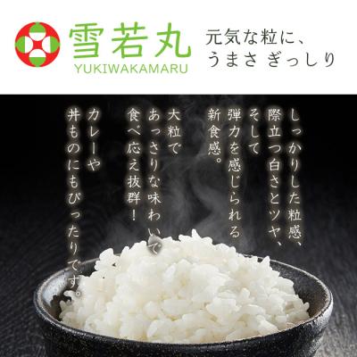 ふるさと納税 山形市 【定期便2回】山形県産 雪若丸 精米 5kg×2回(計10kg) FZ26-843_1