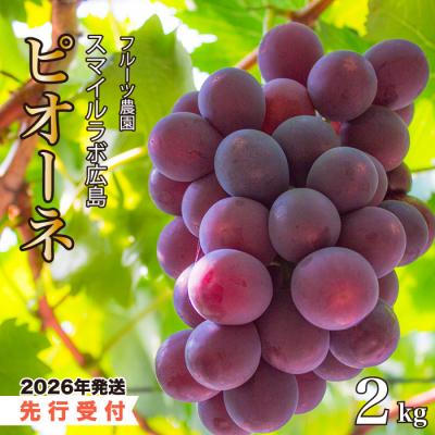 ふるさと納税 三原市 [先行受付]スマイルアグリ ピオーネ 2kg 2026年8月中旬以降発送[059-002]