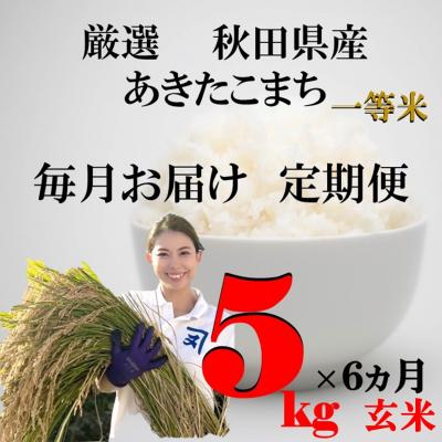 ふるさと納税 湯沢市 [定期便6ヶ月]秋田県産あきたこまち5kg×1袋 玄米[P3-2301]