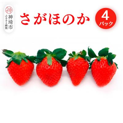 ふるさと納税 神埼市 [2026年1月上旬より発送開始]さがほのか4パック(H116134)