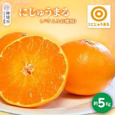 ふるさと納税 神埼市 [2026年3月上旬より発送開始]にじゅうまる 約5kg バラ入りお徳用(H116162)