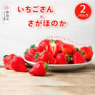 ふるさと納税 神埼市 [2026年1月上旬 発送開始]いちご食べ比べ 2パック(いちごさん・さがほのか)(H116135)