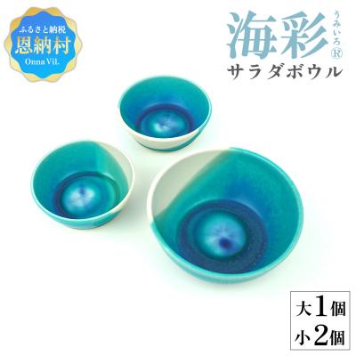ふるさと納税 恩納村 海彩(うみいろ)サラダボウルセット(大1個・小2個