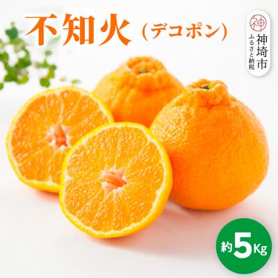 ふるさと納税 神埼市 [2026年1月中旬より発送開始]不知火(デコポン) 約5kg(H116137)