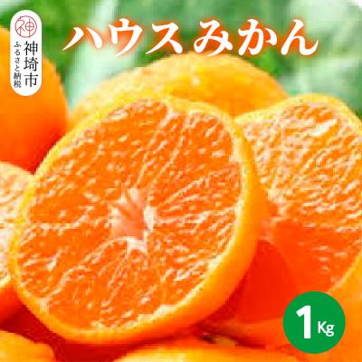 ふるさと納税 神埼市 [2026年6月上旬より発送開始]ハウスみかん 1kg(H116138)