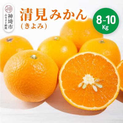 ふるさと納税 神埼市 [2026年3月中旬より発送開始]清見(きよみ)みかん 8kg〜10kg(H116139)