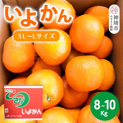 ふるさと納税 神埼市 [2026年1月上旬より発送開始]いよかん 8〜10kg(3L〜Lサイズ)(H116141)
