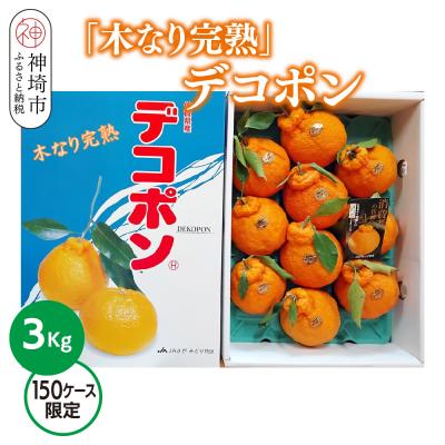 ふるさと納税 神埼市 [2026年3月中旬より発送開始][木なり完熟]デコポン 3kg 150ケース限定(H116148)