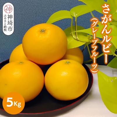 ふるさと納税 神埼市 [2026年3月中旬より発送開始]さがんルビー 5kg(グレープフルーツ)(H116149)