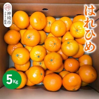 ふるさと納税 神埼市 [2025年12月上旬より発送開始]はれひめ 5kg(H116151)