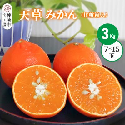 ふるさと納税 神埼市 [2025年12月上旬より発送開始]天草みかん 7〜15玉 3kg(化粧箱入り)(H116154)