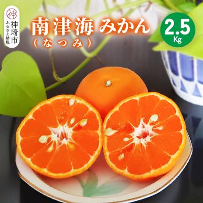 ふるさと納税 神埼市 [2026年4月上旬より発送開始]南津海(なつみ)みかん 2.5kg(H116155)