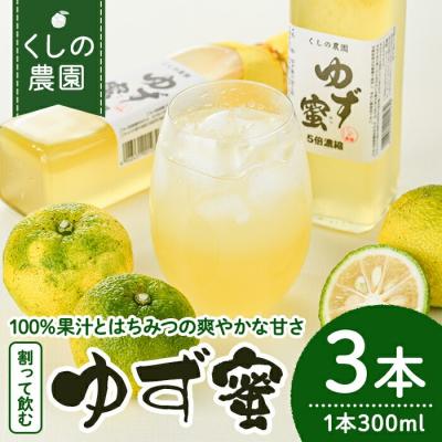 ふるさと納税 宇佐市 ゆず蜜セット(300ml×3本)【100600100】【櫛野農園