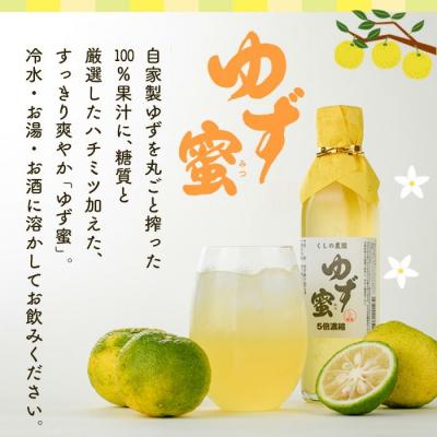 ふるさと納税 宇佐市 ゆず蜜セット(300ml×3本)【100600100】【櫛野農園