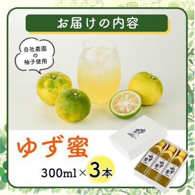ふるさと納税 宇佐市 ゆず蜜セット(300ml×3本)【100600100】【櫛野農園