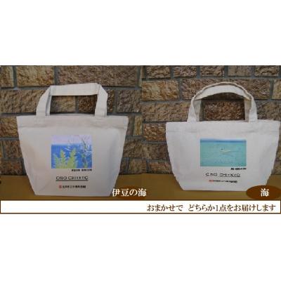 ふるさと納税 笠岡市 小野 竹喬作品 トートバック(小)