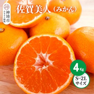 ふるさと納税 神埼市 [2025年10月上旬より発送開始]佐賀美人(みかん) 4kg S〜2Lサイズ(H116142)