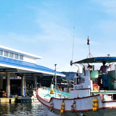 ふるさと納税 土佐清水市 鰹とブリの藁焼きたたき 各1本ずつ タレ付きセット 宗田かつおのうまみぽん酢 刺身[R01339]