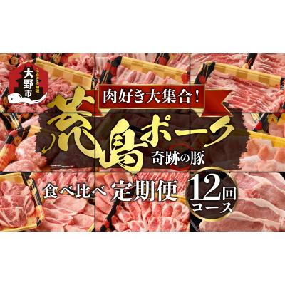 ふるさと納税 大野市 [12回定期便]国産豚肉 荒島ポーク 食べ比べ 定期便