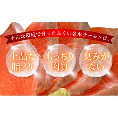 ふるさと納税 大野市 【希少】福井県大野市産 ふくい名水サーモン 1尾 約1.2kg(生食・加熱用)真空冷凍の画像