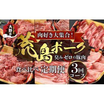 ふるさと納税 大野市 [肉の定期便×3回コース]肉好き大集合!臭みゼロの豚肉「荒島ポーク」食べ比べ 定期便!