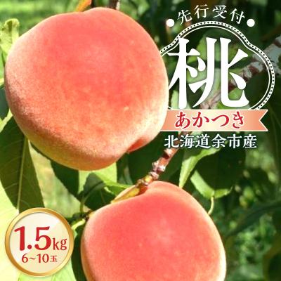 ふるさと納税 余市町 [2026年産 先行受付]<北海道余市産>桃「あかつき」1.5kg(6〜10玉)