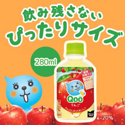 ふるさと納税 恵庭市 【定期便:全5回】ミニッツメイド Qoo りんごPET 280ml×24本【380083】