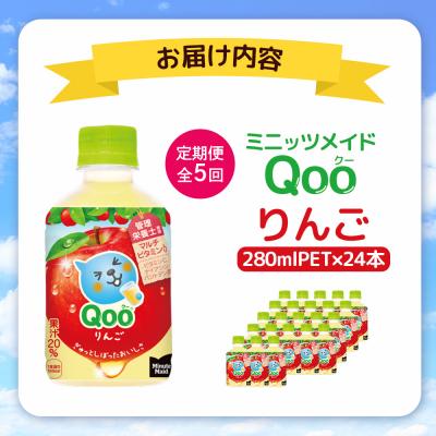 ふるさと納税 恵庭市 【定期便:全5回】ミニッツメイド Qoo りんごPET 280ml×24本【380083】