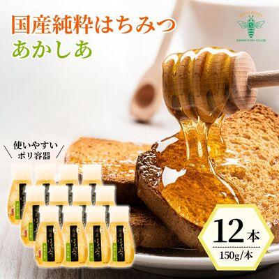 ふるさと納税 北本市 [国産] 純粋はちみつ アカシア 150g×12本 埼玉養蜂