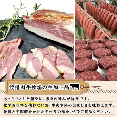 ふるさと納税 士幌町 北海道 ビーフ ジャーキー 20g×1 牛肉 おやつ おつまみ 国産 十勝 士幌町【W10-1】 |  | 02