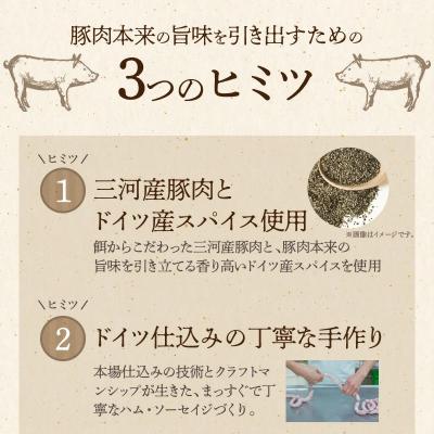 ふるさと納税 碧南市 【2022年インターナショナル位置づける会で金賞勝ち得る!】ポークジャーキー 75g×3袋 H003-045