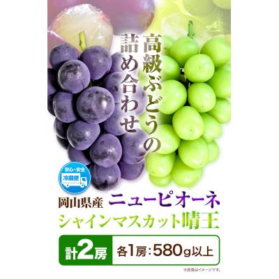 ふるさと納税 笠岡市 岡山県産ニューピオーネ&amp;シャインマスカット晴王(各1房580g以上)2026年産先行受付 H-40b