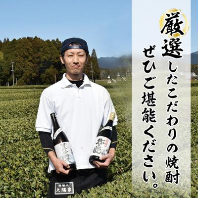 ふるさと納税 曽於市 昔懐かしい芋焼酎シリーズ飲み比べ【紙】(1.8L×12本)_3