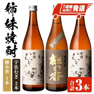 ふるさと納税 宇佐市 姉妹焼酎『極み香』『宇佐むぎ』詰合せ 25度 (720ml×3本)[107305900][時枝酒店]