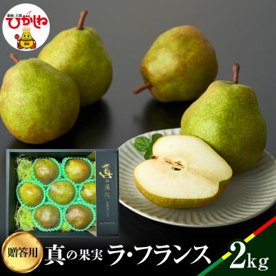 ふるさと納税 東根市 2026年産 真の果実 贈答用 ラフランス2kg 山形県 東根市 松栗提供 hi062-041-r8