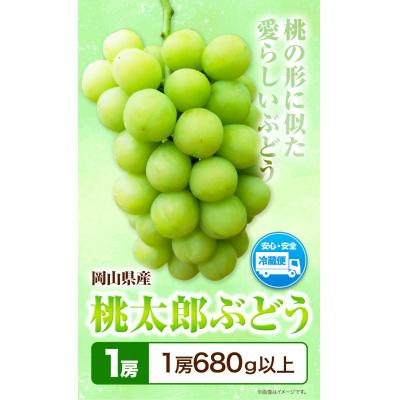 ふるさと納税 笠岡市 岡山県産桃太郎ぶどう(1房680g以上)1房入り[令和8年産先行受付]H-26b
