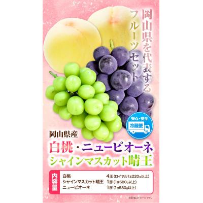 ふるさと納税 笠岡市 岡山県産白桃4玉&amp;シャインマスカット晴王1房&amp;ニューピオーネ1房詰め合わせ H-39b