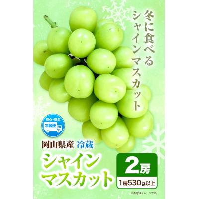 ふるさと納税 笠岡市 岡山県産・冷蔵シャインマスカット(530g以上2房入り) H-28a