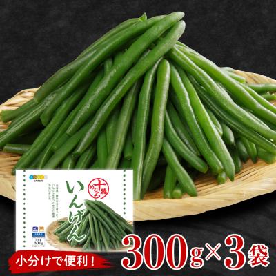 ふるさと納税 芽室町 北海道十勝芽室町 十勝めむろ 冷凍野菜 いんげん 300g×3袋 me003-120c