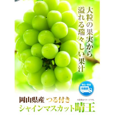 ふるさと納税 笠岡市 岡山県産シャインマスカット(晴王)つる付き1房入り(680g以上)令和7年産先行受付 H-30a