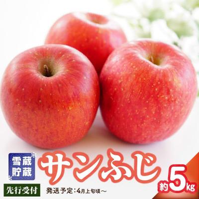 ふるさと納税 大江町 [先行受付]家庭用 雪蔵貯蔵 サンふじ 約5kg[2026年4月上旬発送予定] 015-051