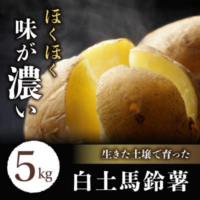 ふるさと納税 東御市 [先行受付2026年発送]長野県産新じゃがいも 生きた土壌で育った『白土馬鈴薯5kg』里山JAPAN