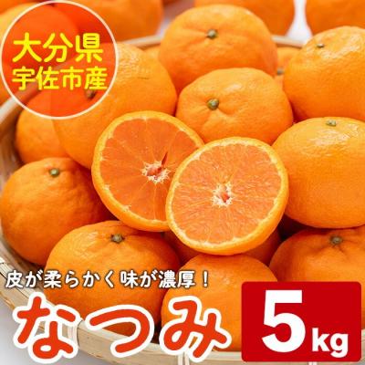 ふるさと納税 宇佐市 なつみ 約5kg ハウス 樹成完熟みかん[111600200][永木農園]
