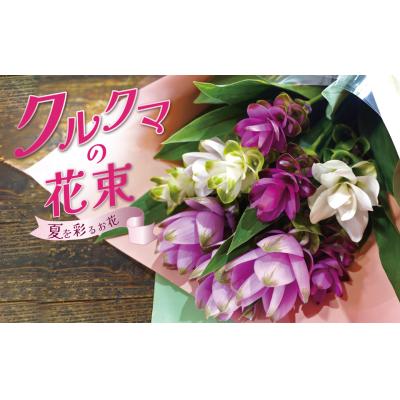 ふるさと納税 碧南市 [暑さに強い花] クルクマの花束 贈り物 プレゼント